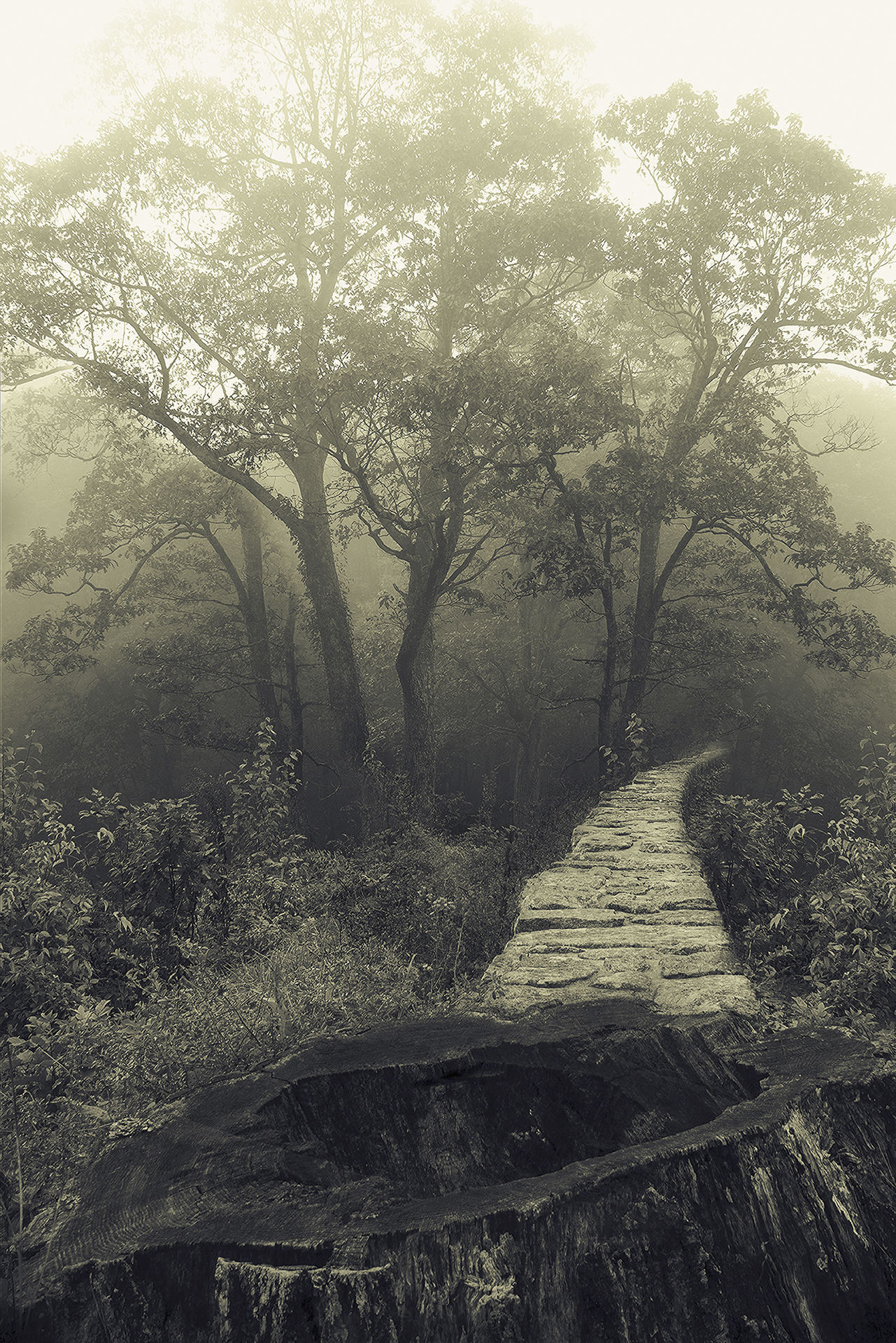 Hidden preload image