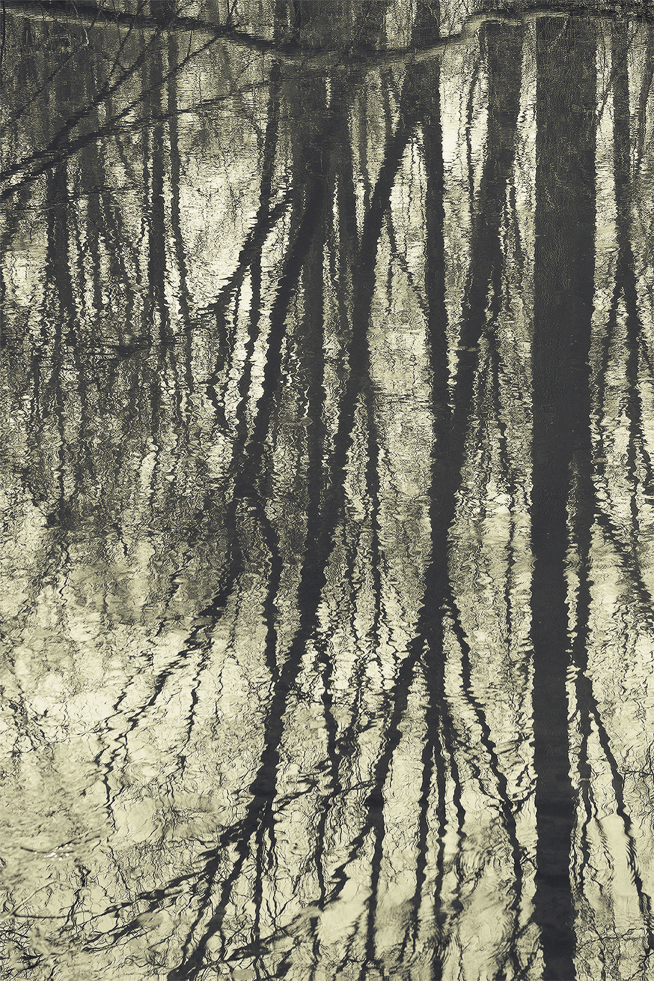 Hidden preload image