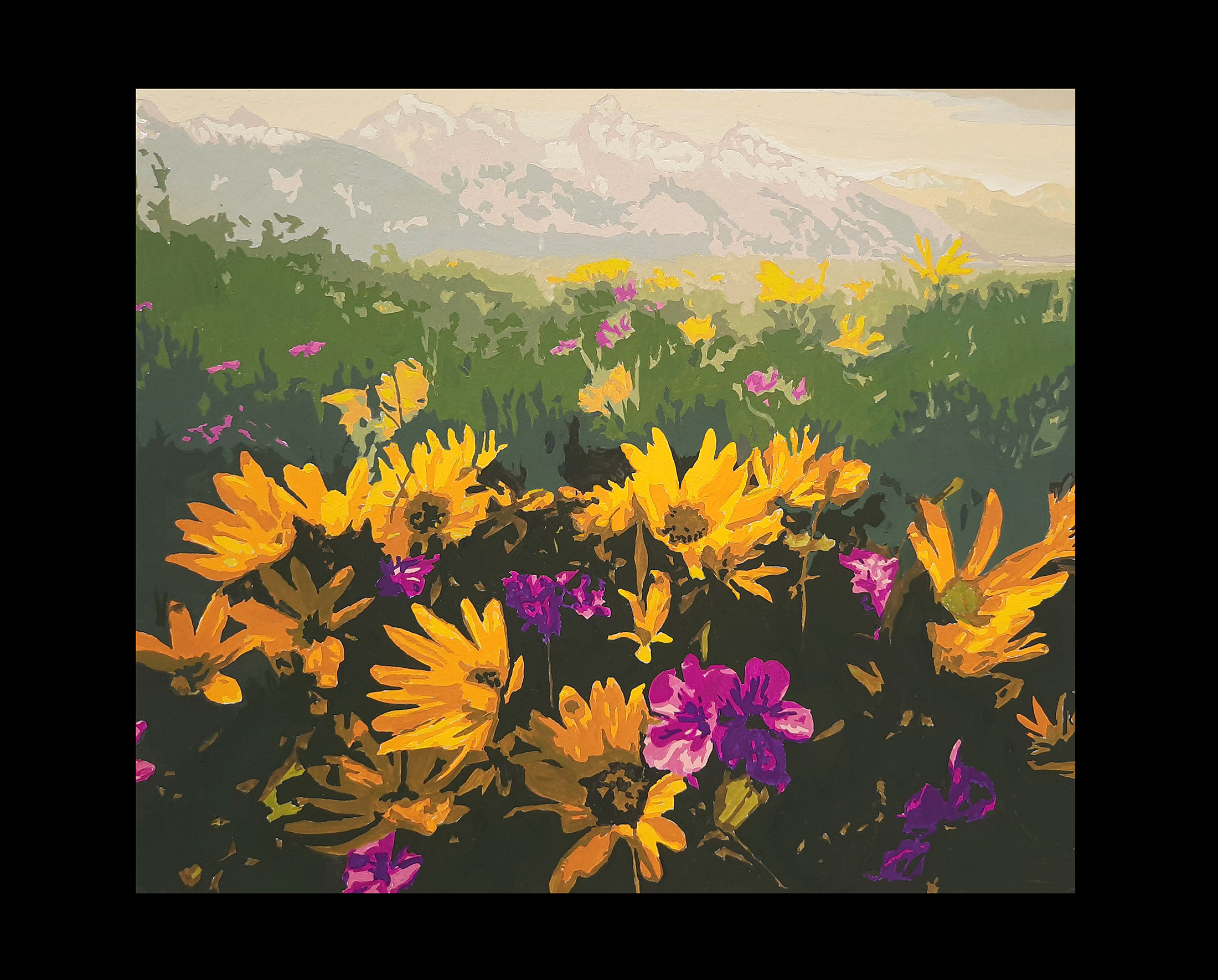 Hidden preload image