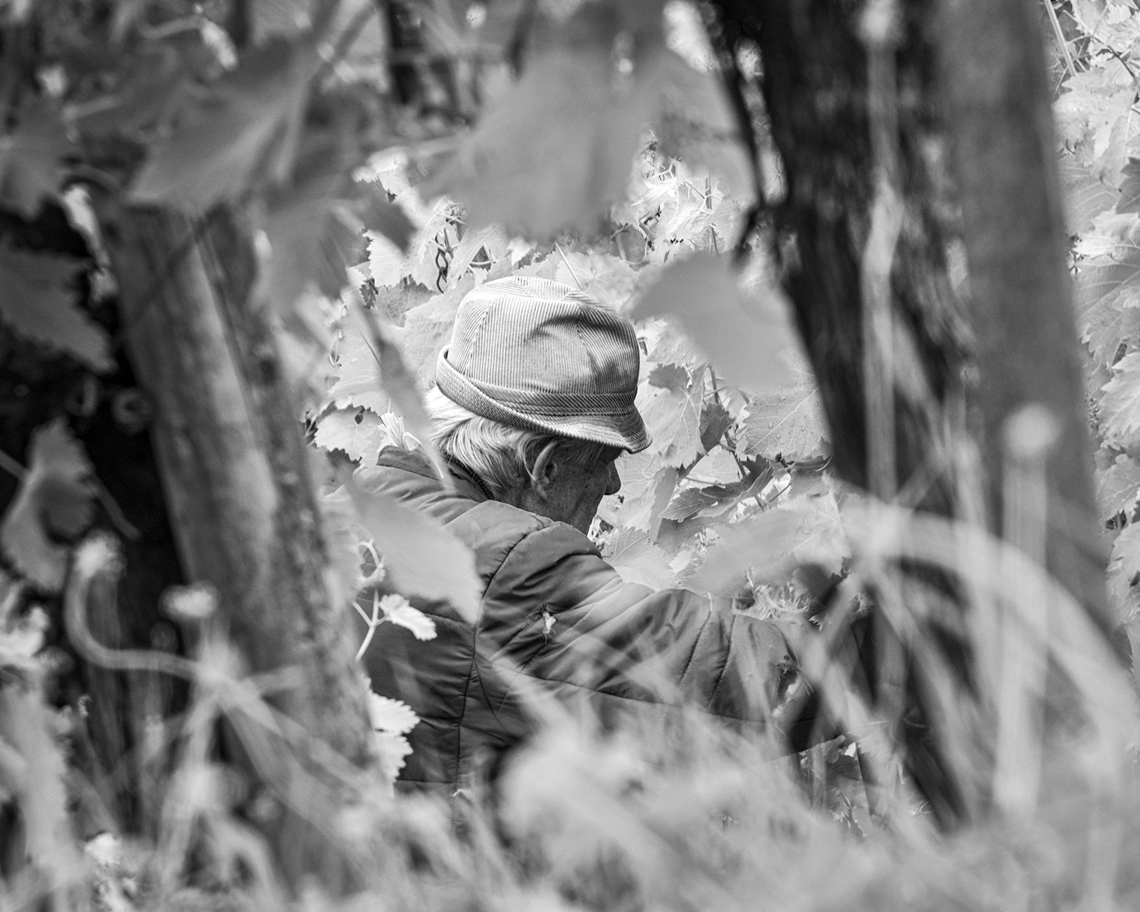 Hidden preload image