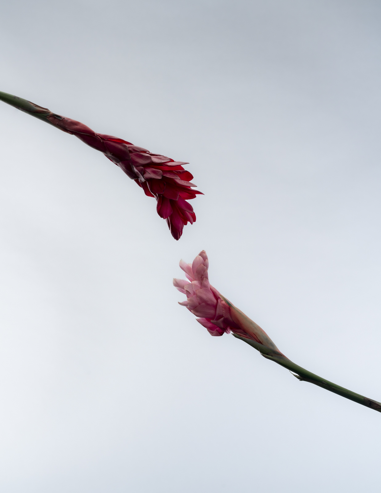 Hidden preload image