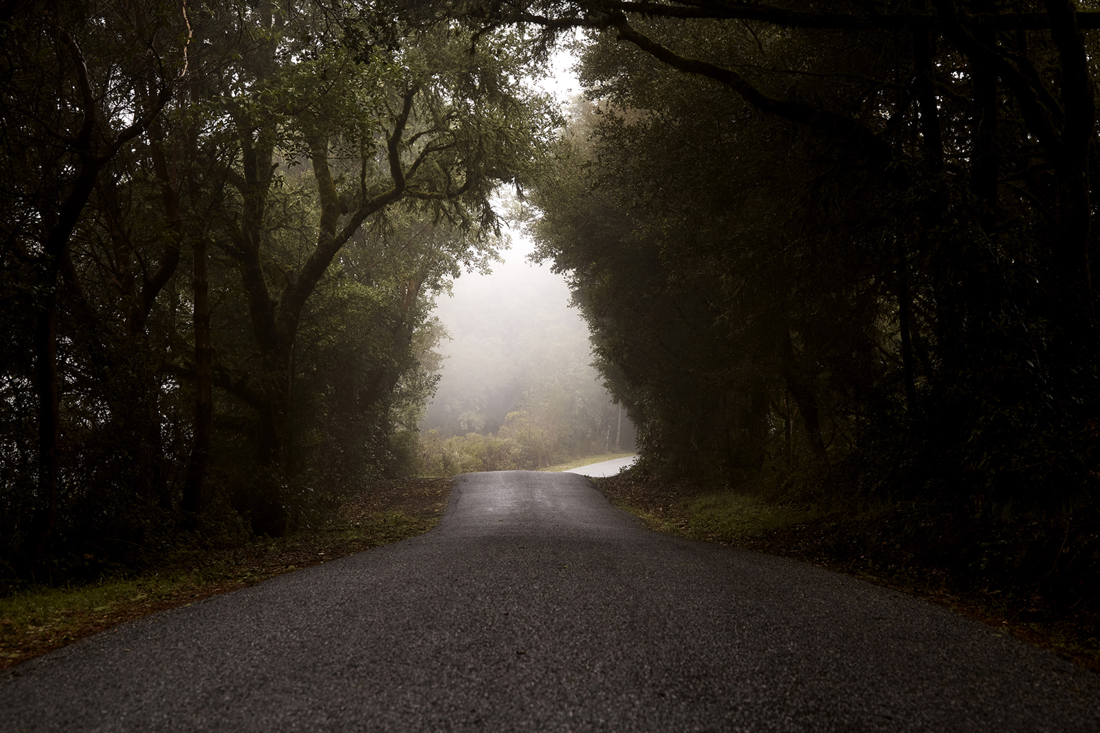 Hidden preload image