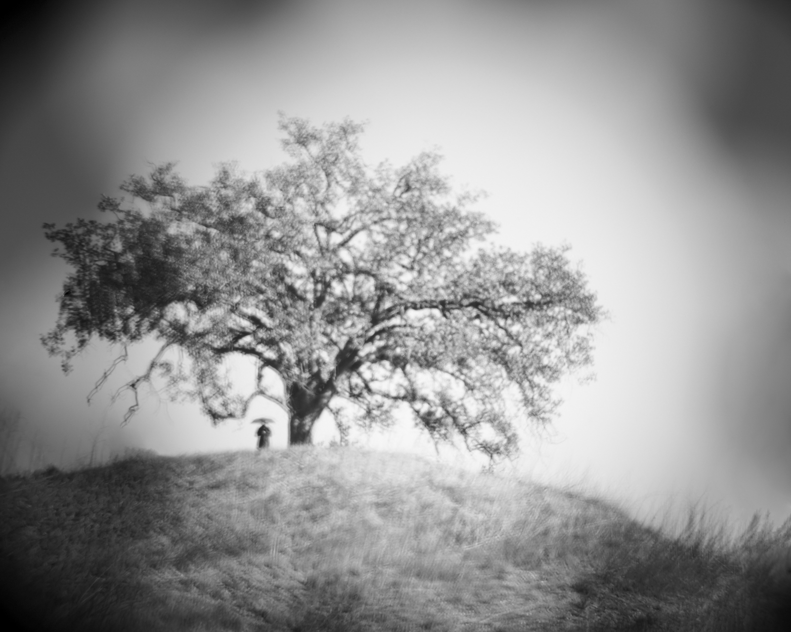 Hidden preload image