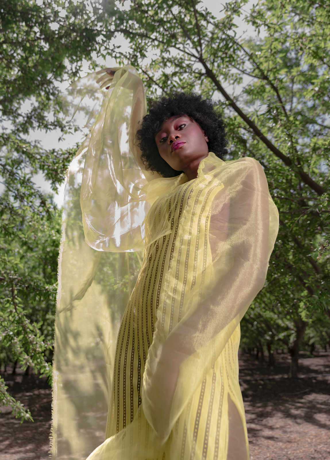 Hidden preload image