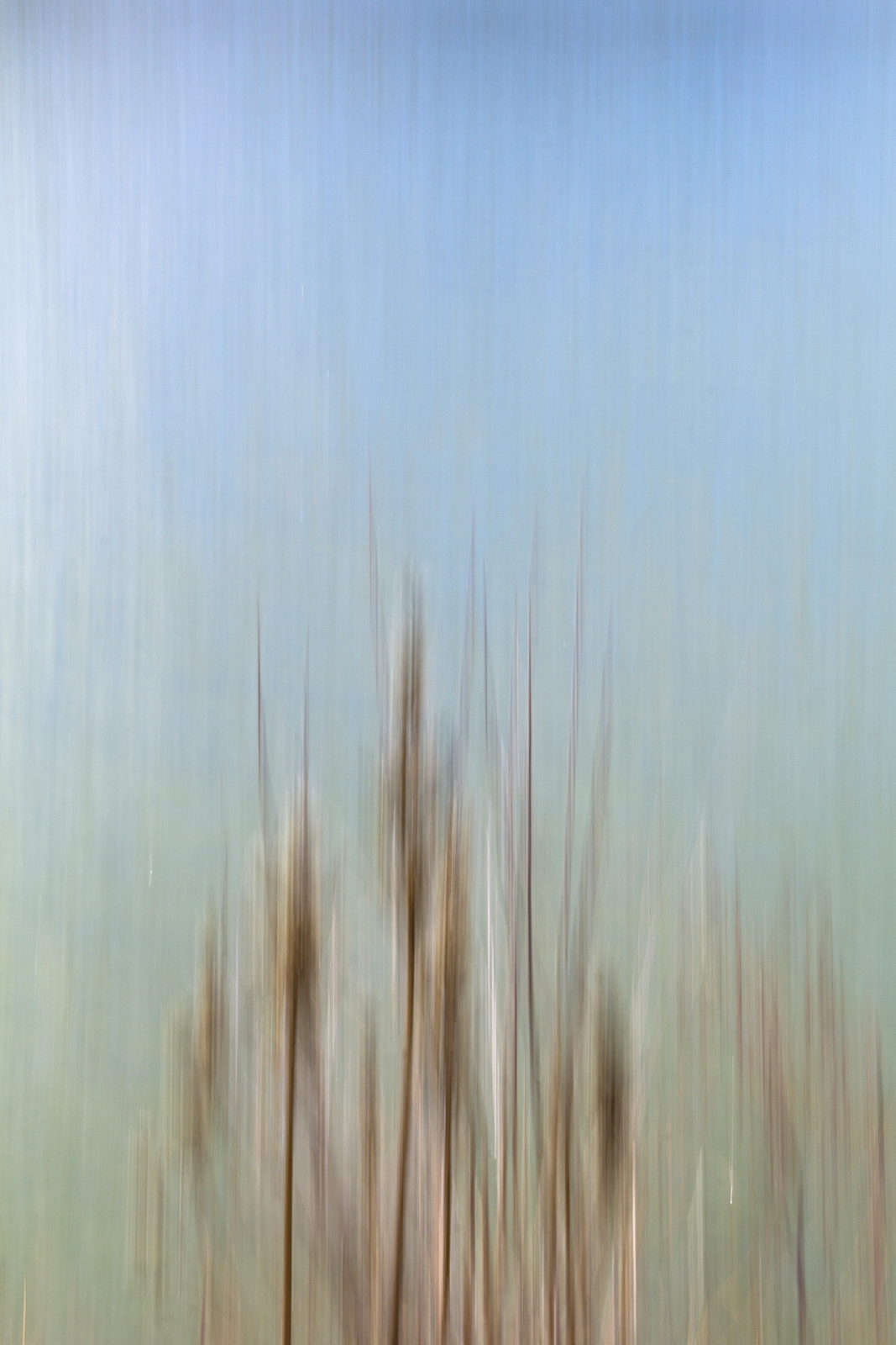 Hidden preload image