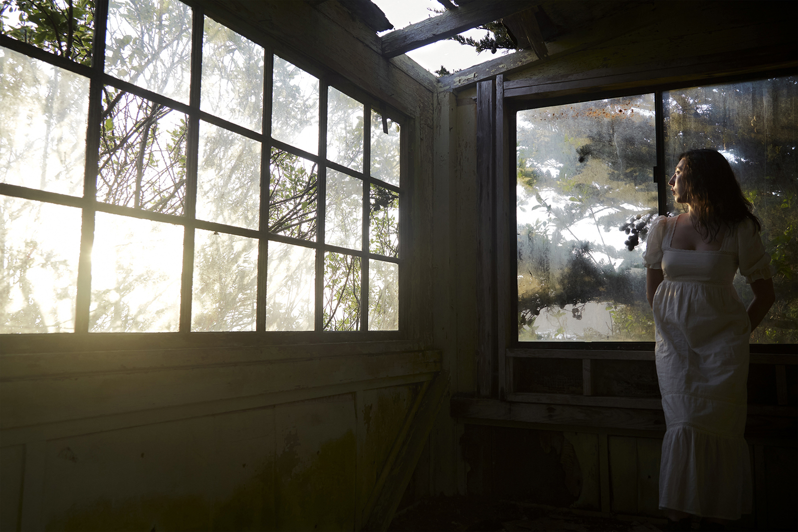 Hidden preload image