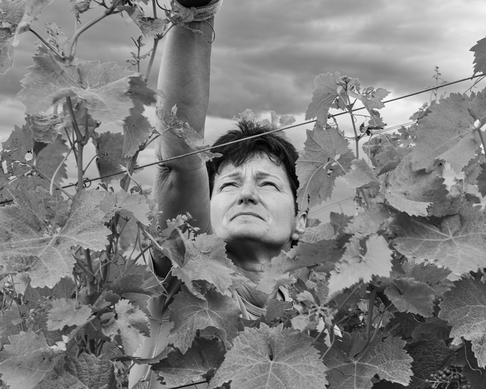 Hidden preload image