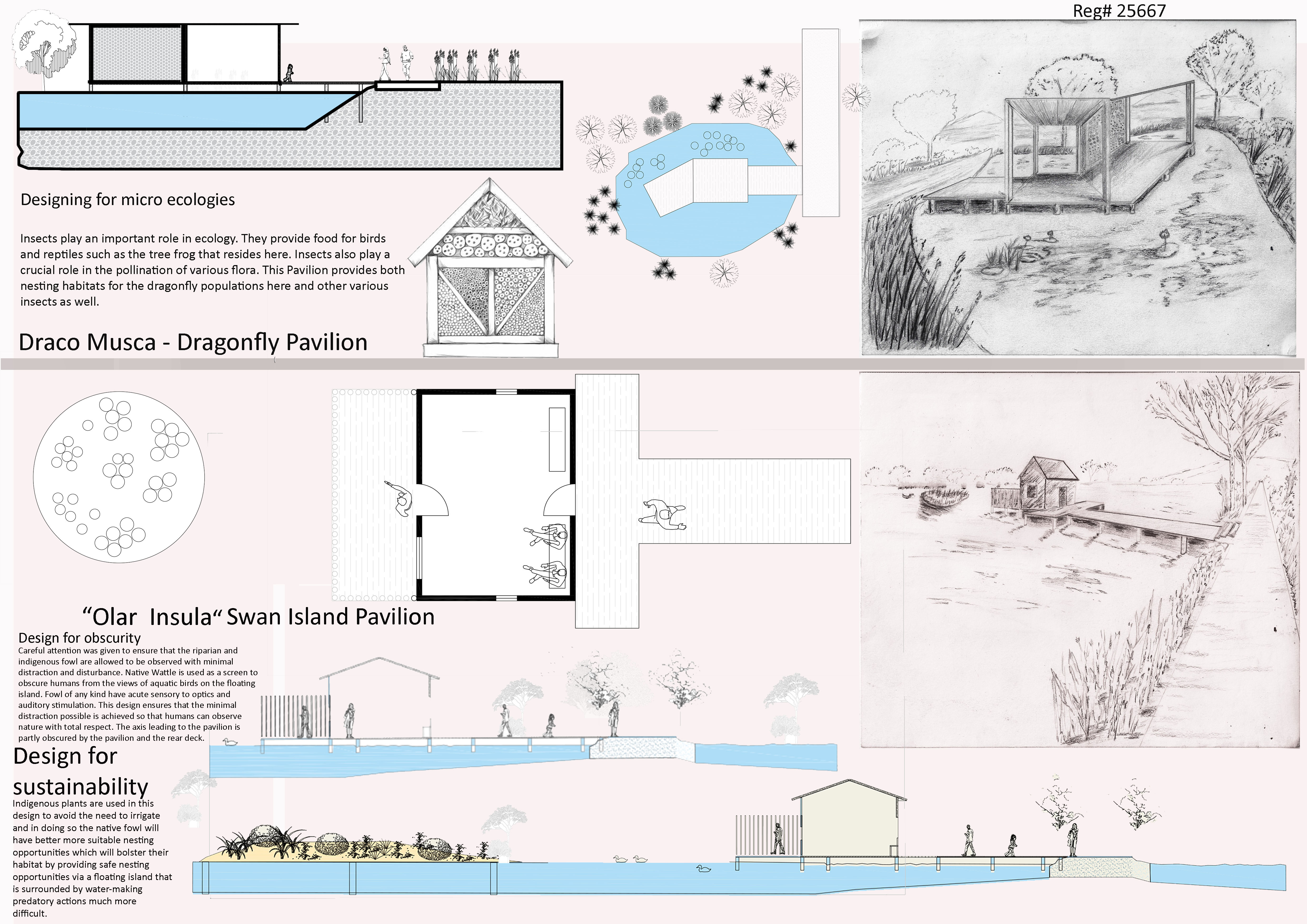 Terra Viva Competition: RETURNING TO WHERE IT ALL BEGAN