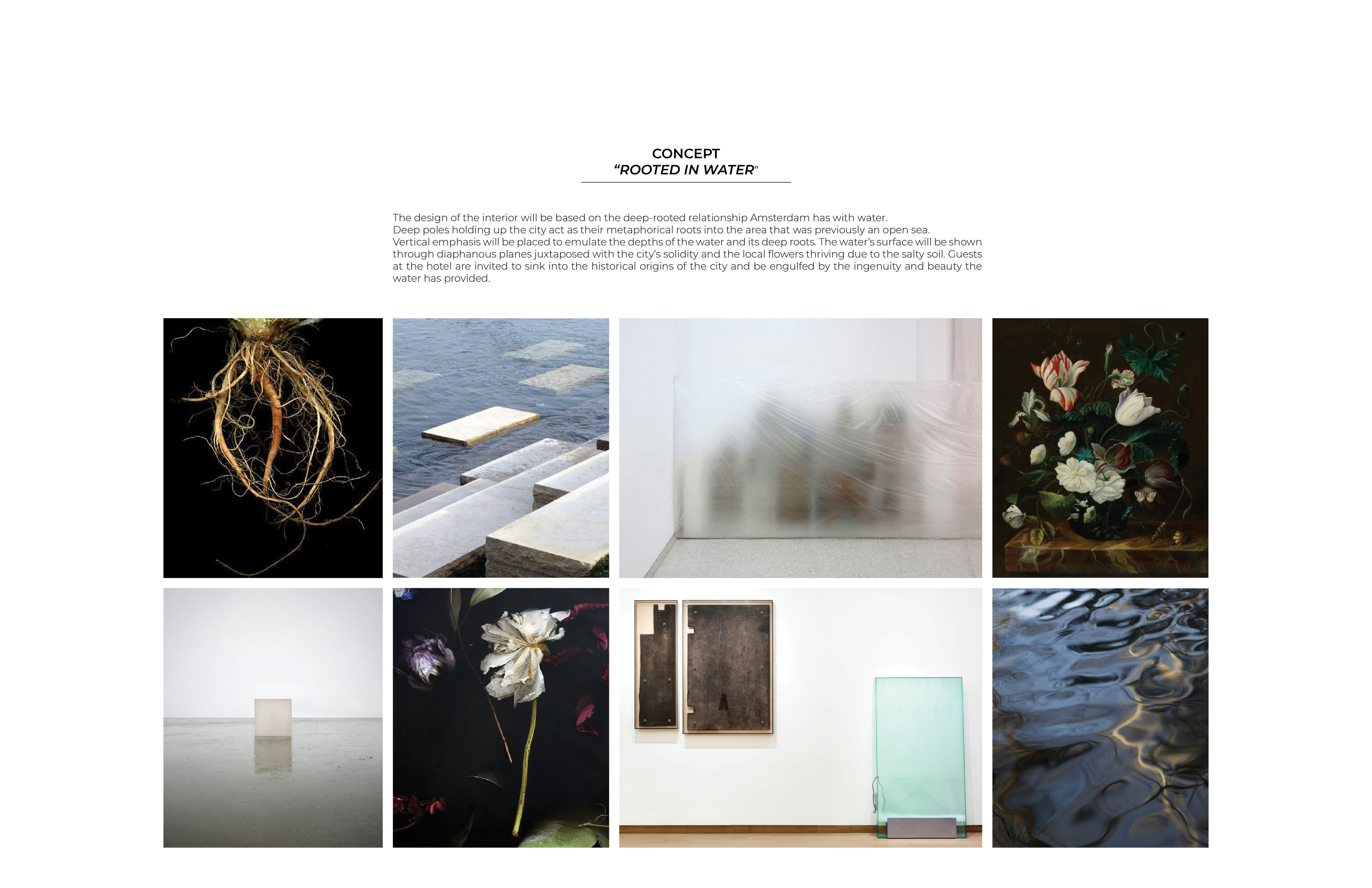 SannePlanting_de bron Concept - sanne planting