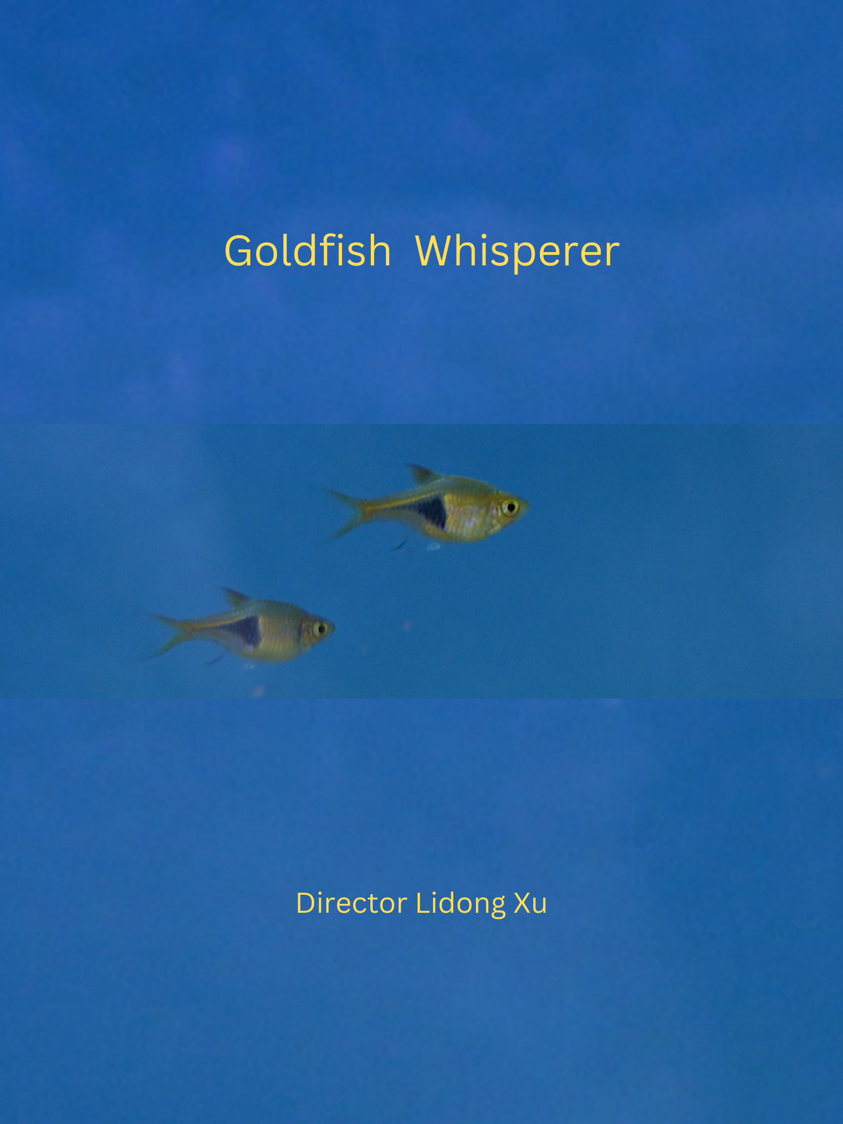 Goldfish Whisper  