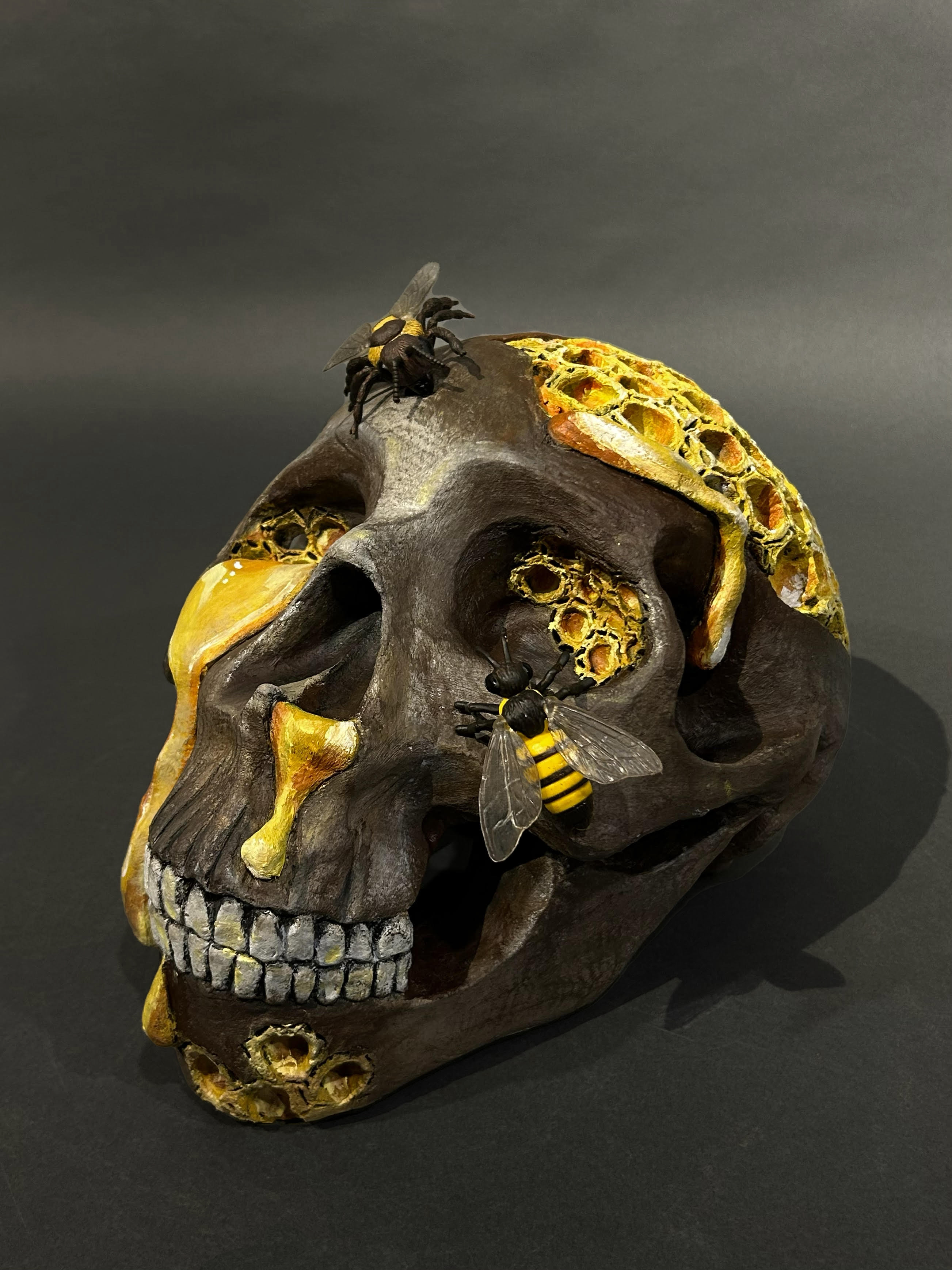 संसार (Samsarā)