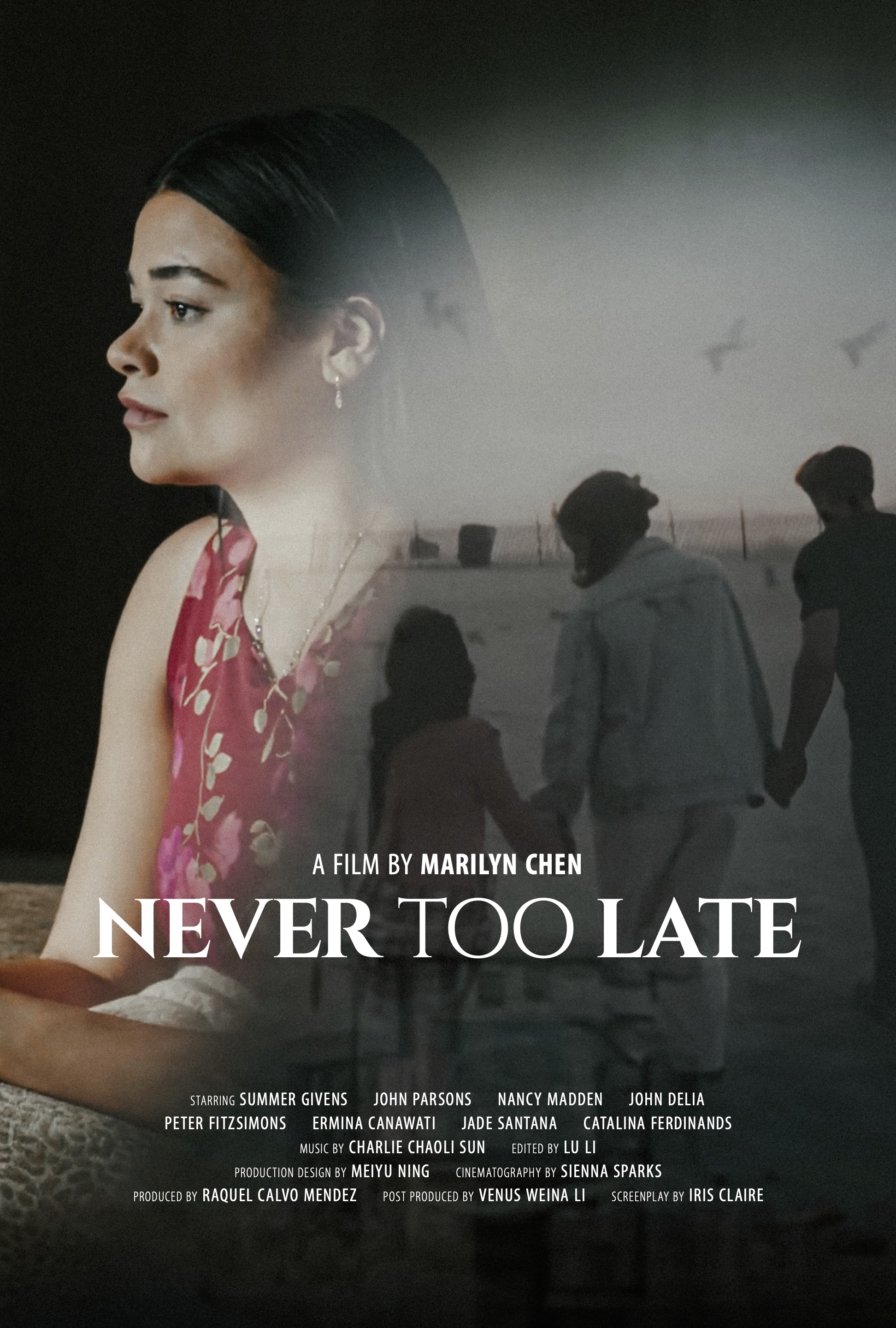 Poster for film "Never Too Late"; Woman stares longingly out in to distance and in other direction a family holds hands on a beach. 