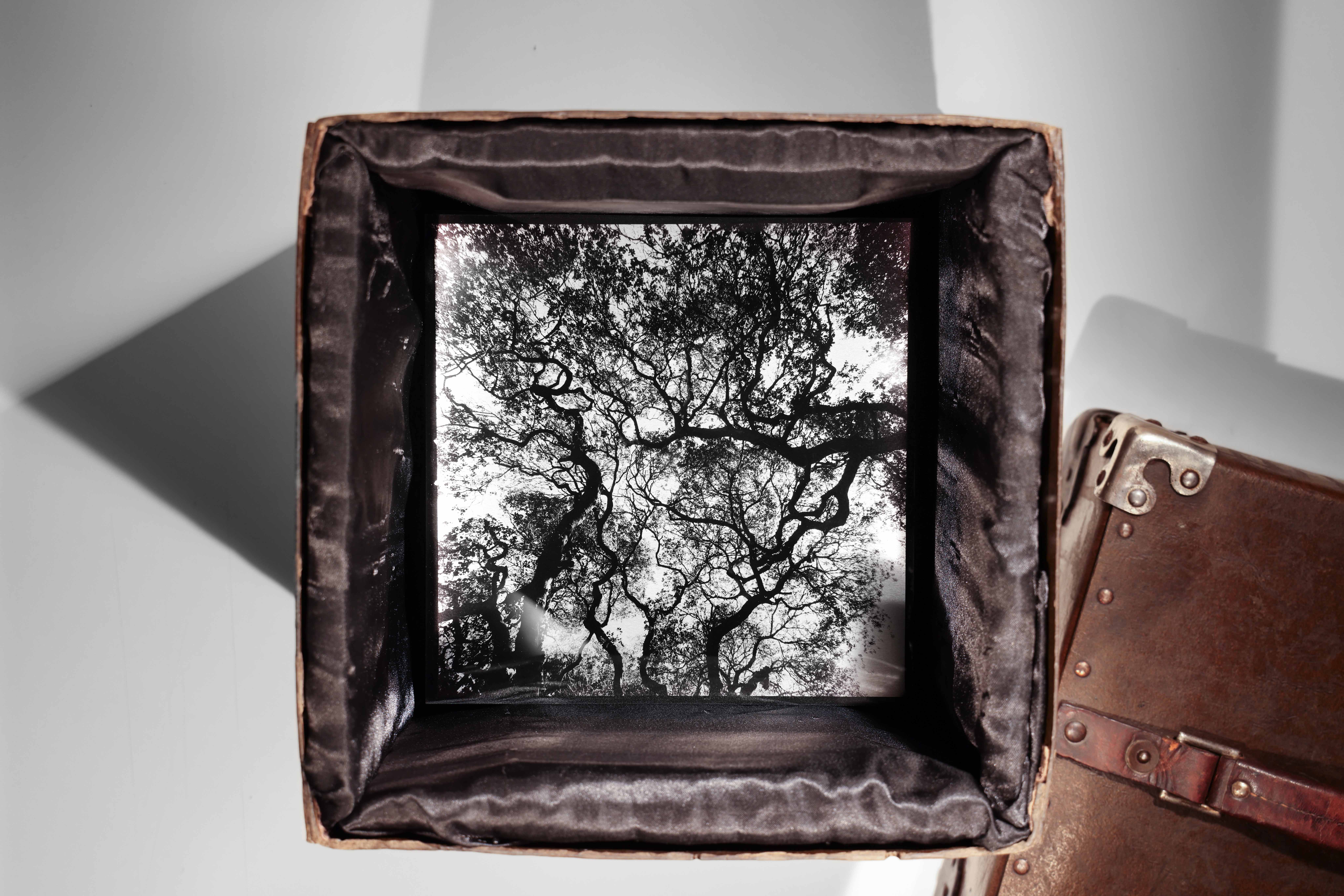 Intimacy and Intricacies