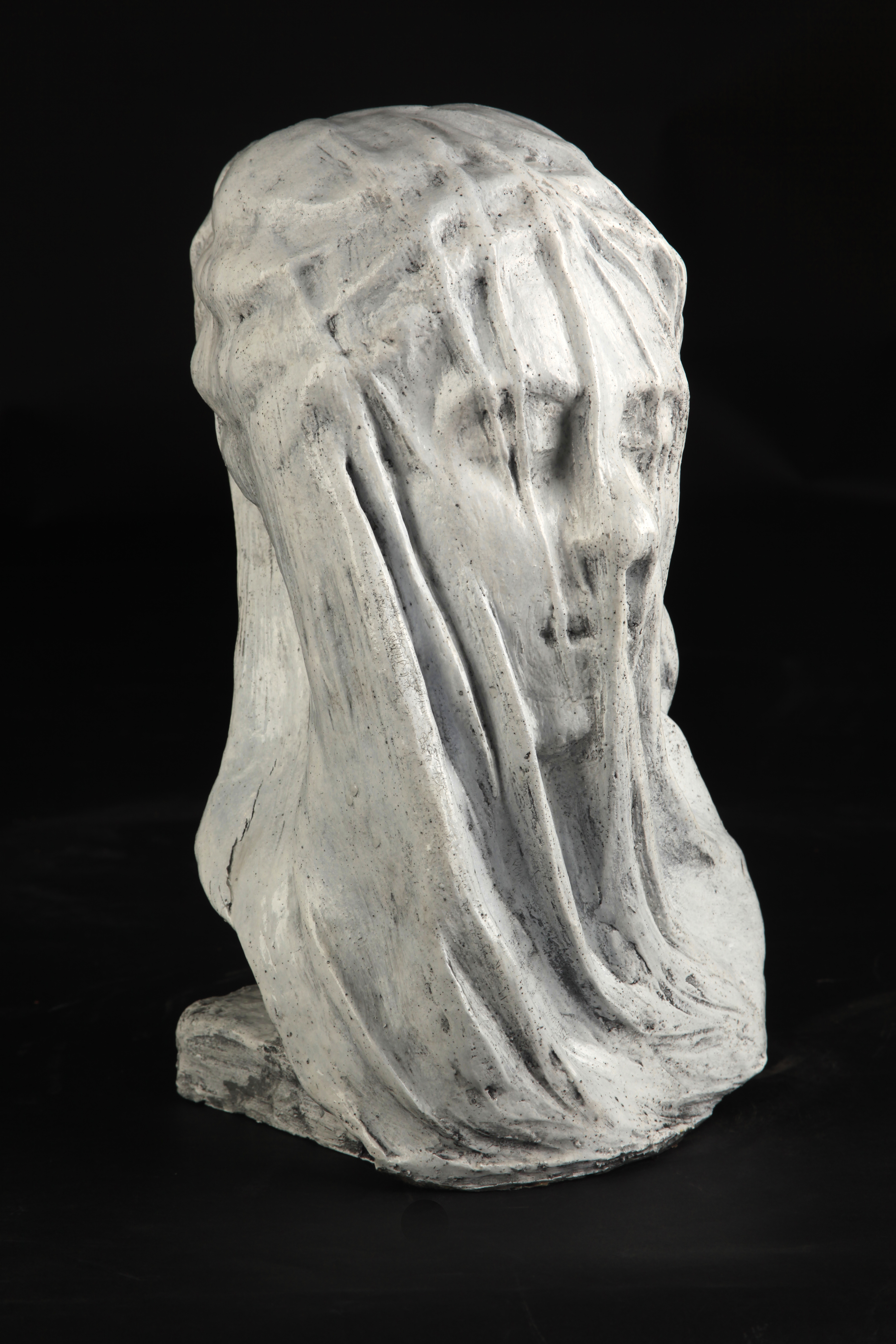 Veiled Beauty