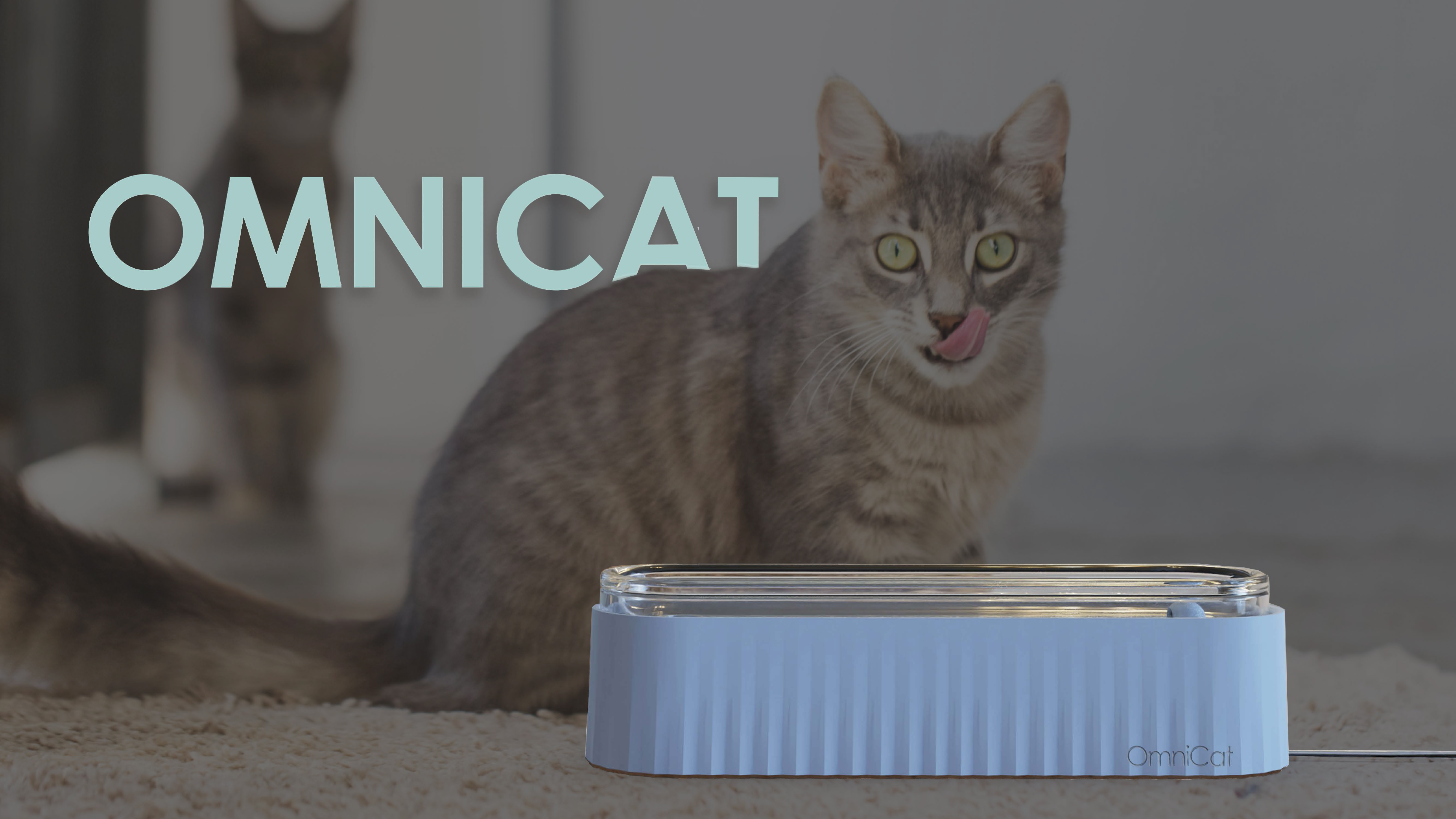 OmniCat