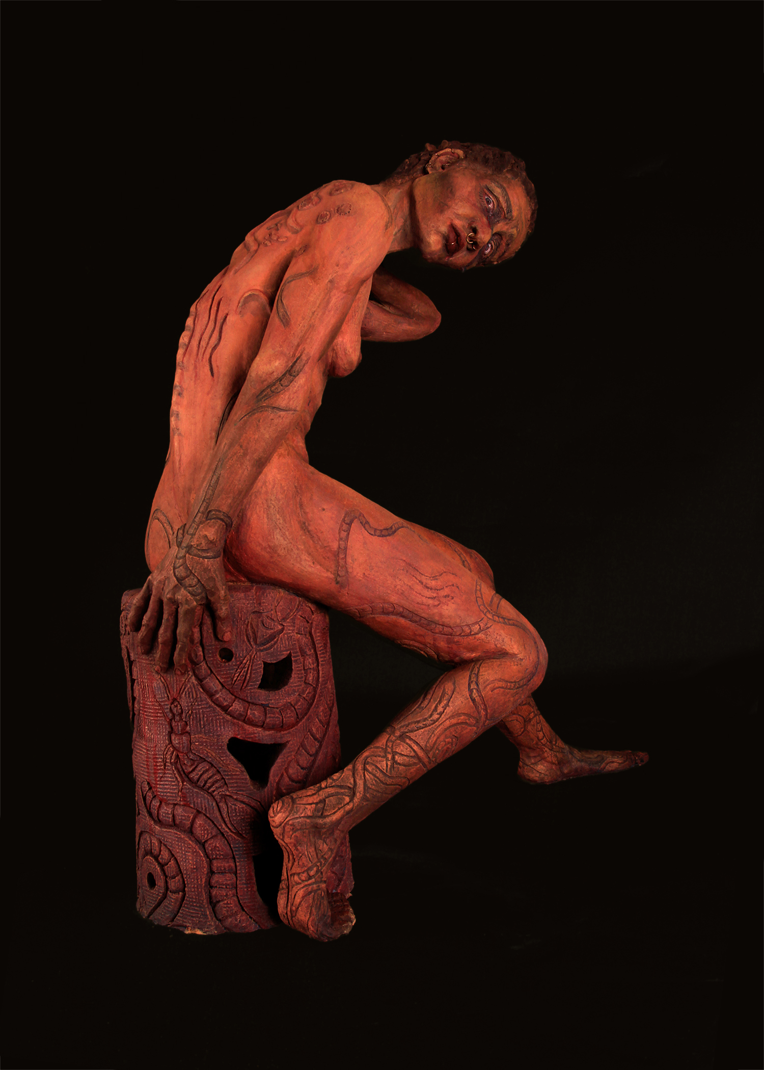 Sarcoptes Apostolepis