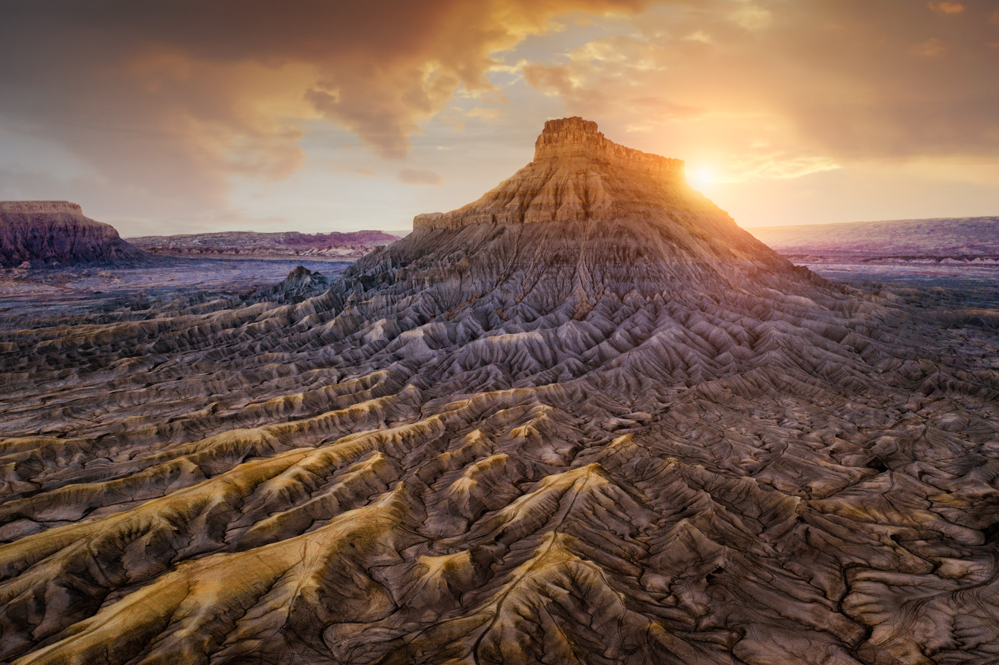 Academy of Art University